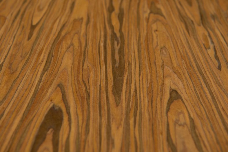 ПАЛІСАНДР САНТОС-0