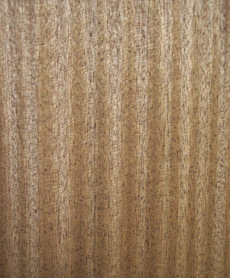 Горіх африканський-0