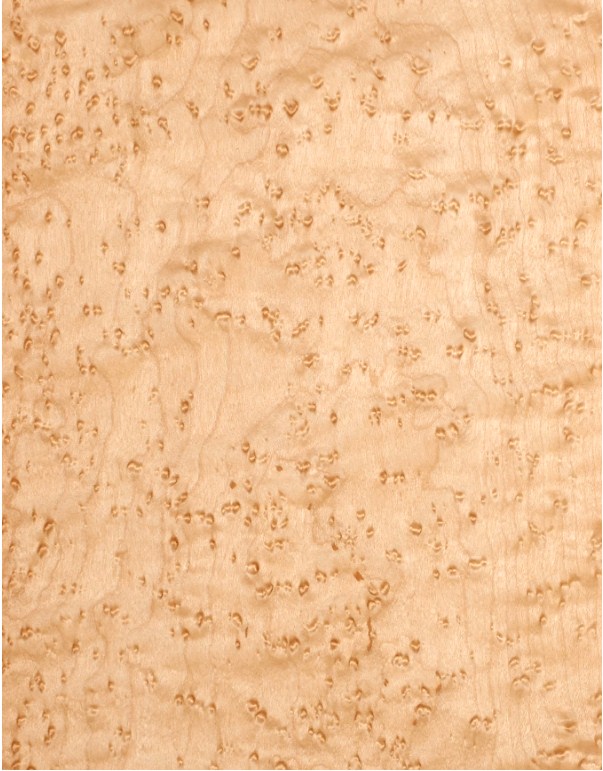 Клен “Паташине око”-0